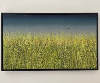 Image 3 of 'The Lawn Ranger'