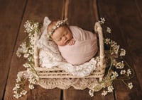 Image 17 of Twiggi Bed