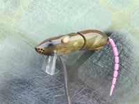 Image 5 of SPEEDBAITS Custom Airbrushed  RAT Wakebait 