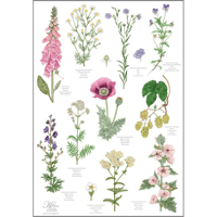 Image 1 of Danish Garden 100% Organic Cotton Tea Towel
