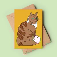 Fluffy Cat Card
