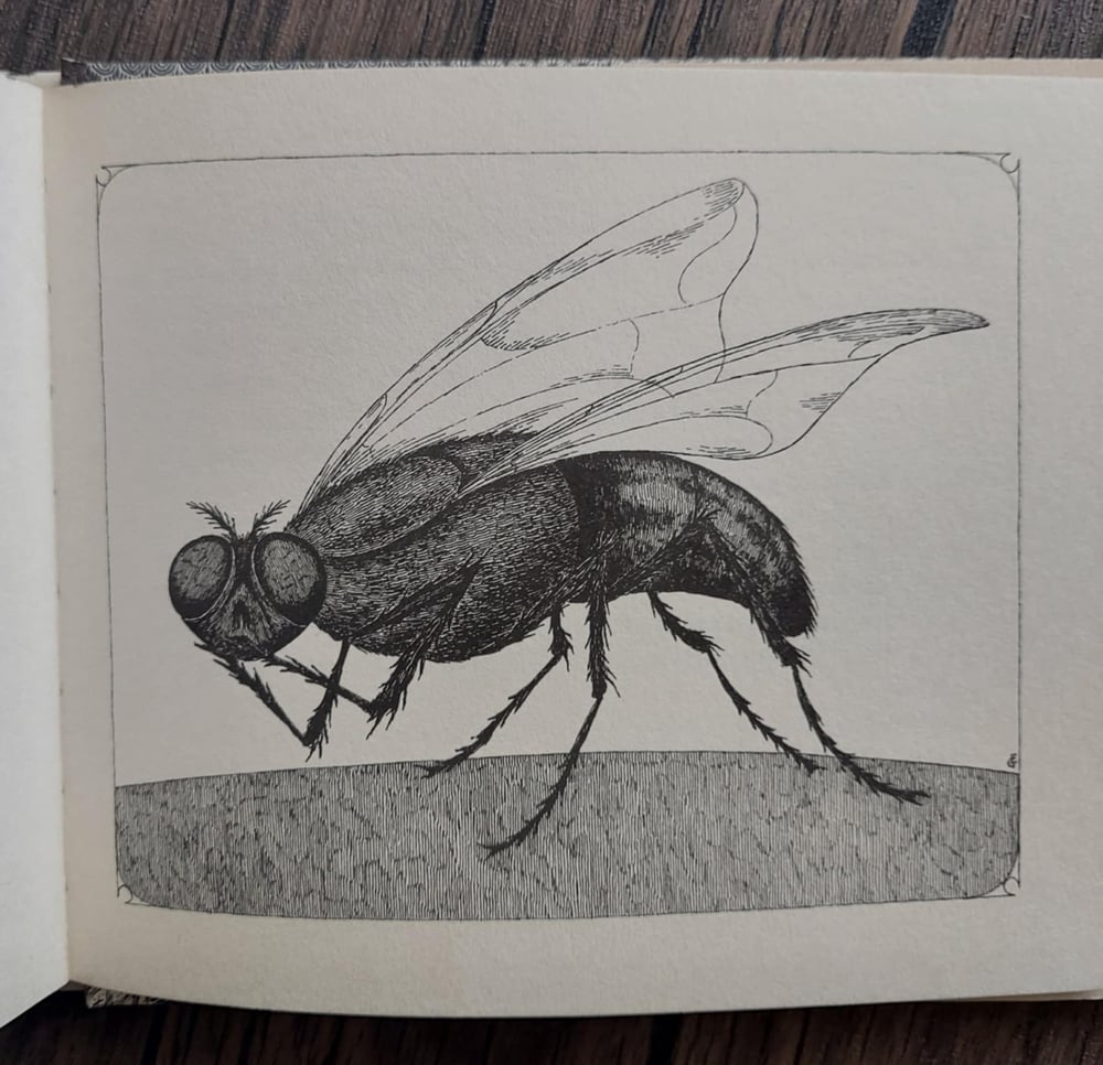 Donald and the…, by Peter Neumeyer and Edward Gorey