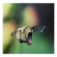 Image 1 of Lion Bee meme Prints