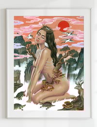 Image 1 of Fusion 14