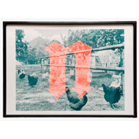 Exhibition for Chickens Risograph Print