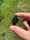 Image of 27.5x28mm  knuckle slice 