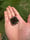 Image of 31.5x31.5mm knuckle slice *