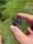 Image of 22x24mm knuckle slice