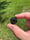 Image of 17x16mm knuckle slice 