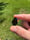 Image of 17x16mm knuckle slice 