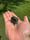 Image of Infinity knuckle 