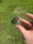 Image of Infinity knuckle 