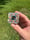 Image of Rainbow knuckle