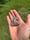 Image of Rainbow knuckle