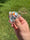 Image of Rainbow knuckle
