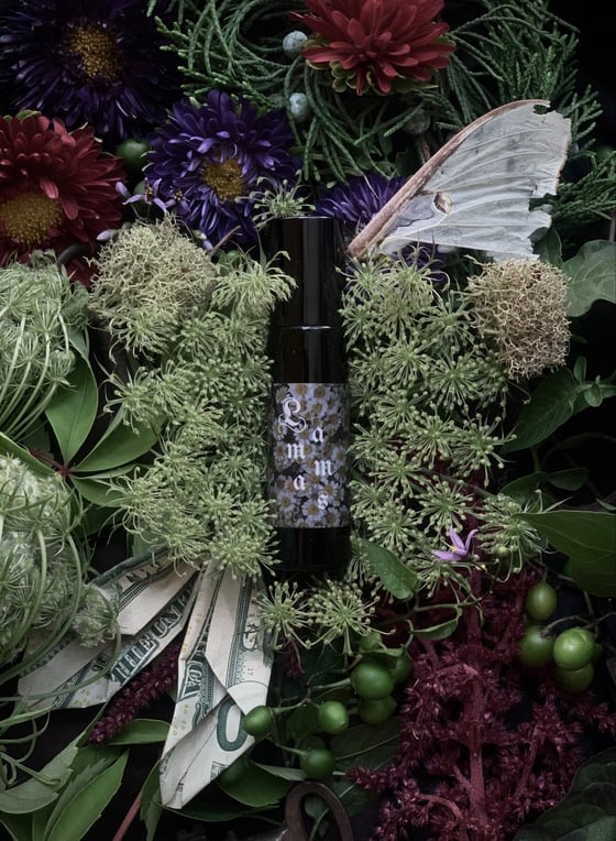 Image of Lammas Perfume  (Bergamot, Oakmoss, Flouve, Petitgrain)