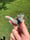 Image of Rainbow and infinity mini sherlock
