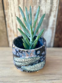 Image 3 of Ferns in Space Planter  (3" deep x 3.5" wide)