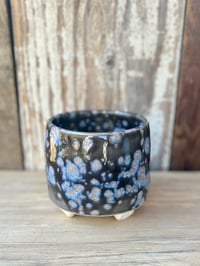 Image 4 of Ferns in Space Planter  (3" deep x 3.5" wide)