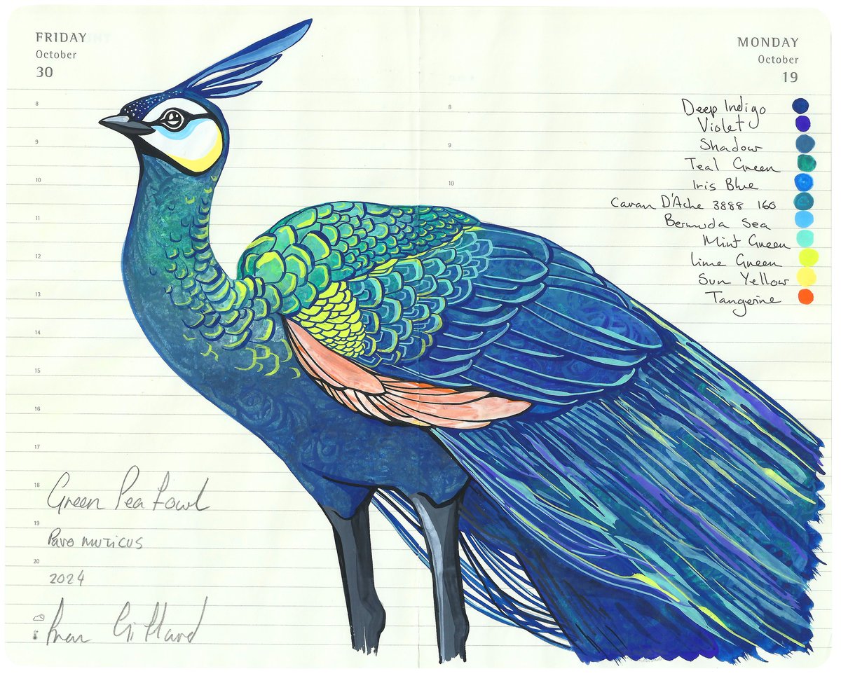 Image of An Exaltation