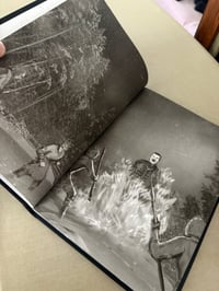 Image 4 of Everything Went to Shit (Signed, numbered, limited edition)