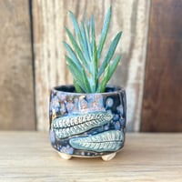 Image 1 of Ferns in Space Planter  (3" deep x 3.5" wide)