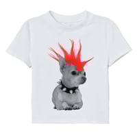 Image 2 of Wig Dog