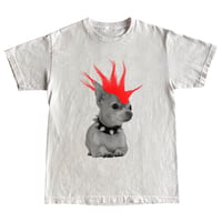 Image 1 of Wig Dog