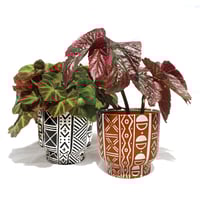 Image 5 of Bogolanfini Print Ceramic Planter