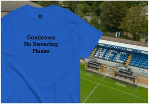 Image of NO SWEARING.