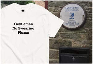 Image of NO SWEARING.