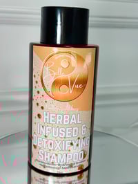 Image 3 of Herbal Infused & Detoxifying Shampoo