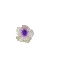 Image 1 of Hawaii Flower Clips