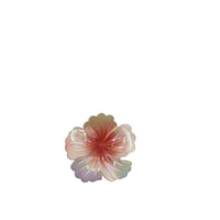 Image 2 of Hawaii Flower Clips