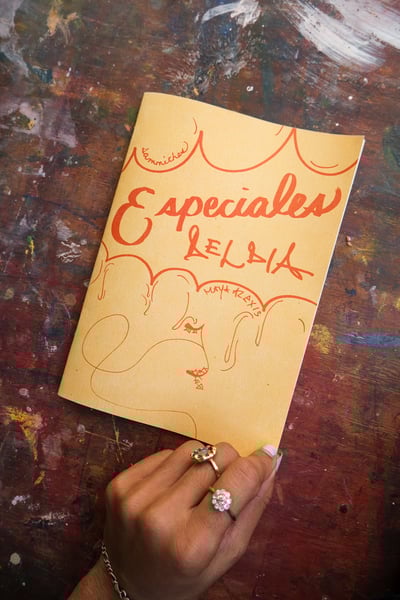 Image of ZINE Especiales Del Día: Sandwiches