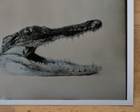 Image 3 of Alligator's head | Macro | Fineart Print