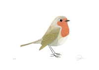 Image 1 of Robin