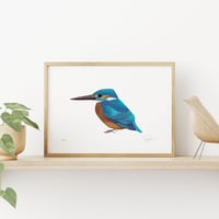 Image 1 of King Fisher