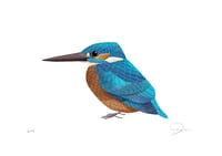 Image 2 of King Fisher