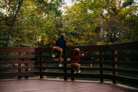 Image 2 of WED, October 29 Full Session Deposit