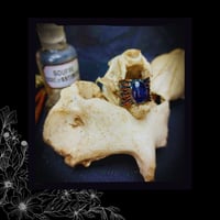 Image 2 of ☽ SerpenteS Arcana II ☾