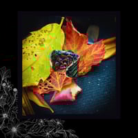 Image 5 of ☽ SerpenteS Arcana II ☾