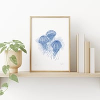 Image 2 of Jellyfish
