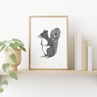 Image 1 of Flowery Squirrel