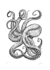 Image 1 of Octopus II