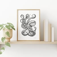 Image 2 of Octopus II