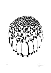 Image 1 of Penguins
