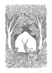 Image 1 of Forest Friends