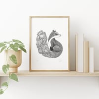 Image 2 of Flowery Fox