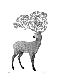 Image 1 of Flowery Deer